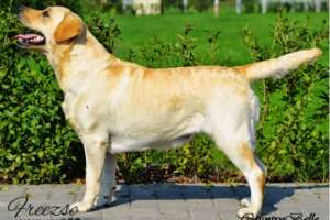 ????????????????????????????????????